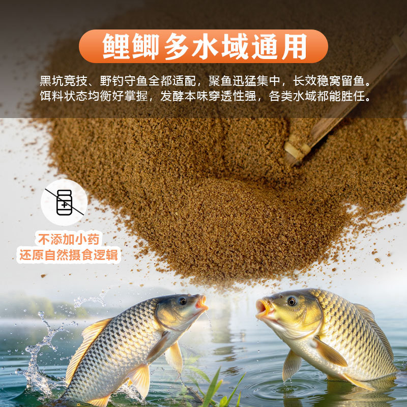 鲤鱼饵料酵香酵鲤不加药小黄面面鲫鱼散炮黑坑野钓钓鱼饵料鱼饵 图3